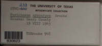 Image Associated With the Occurence
